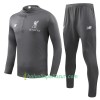 Liverpool Training Huppari Suits Harmaa 2018-2019